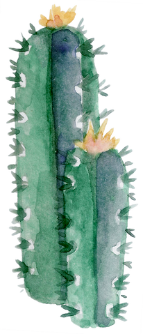 Watercolor Cactus Shape.